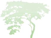 Paul Smit hoveniersbedrijf in werkgebied De Bilt