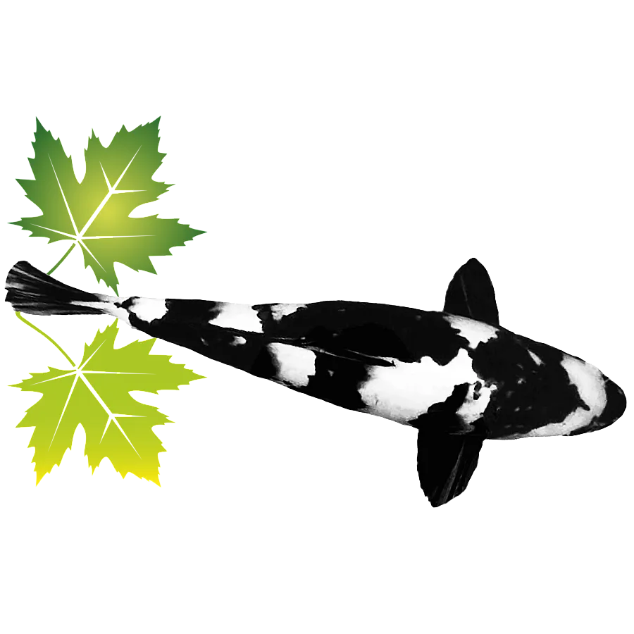 hovenier/vijverspecialist Geerlings uit Hellouw