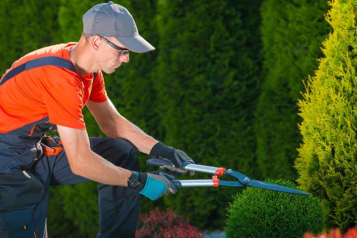 HS gardens BV uit Oudewater