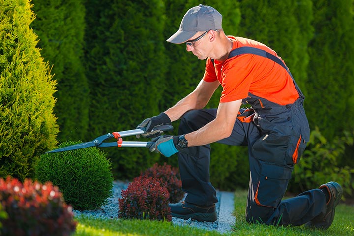 ᐅ Goedkope Hovenier Gezocht? | Vind Een Voordelige Tuinman!