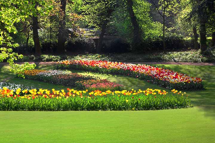 M.R. Tuinarchitektuur en Groenvoorziening uit Bladel