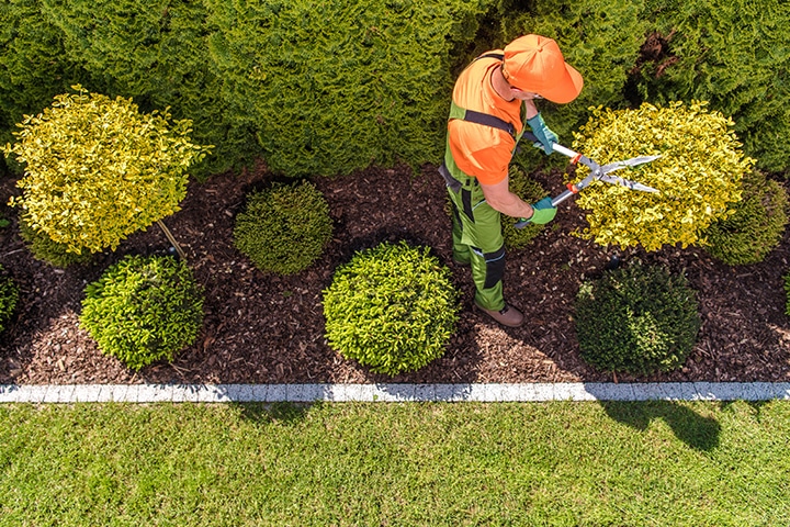 Offerte hovenier aanvragen 2023 ⋙ Waar moet je op letten?